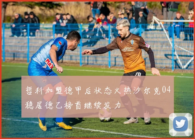 哲科加盟德甲后状态火热沙尔克04稳居德乙榜首继续发力
