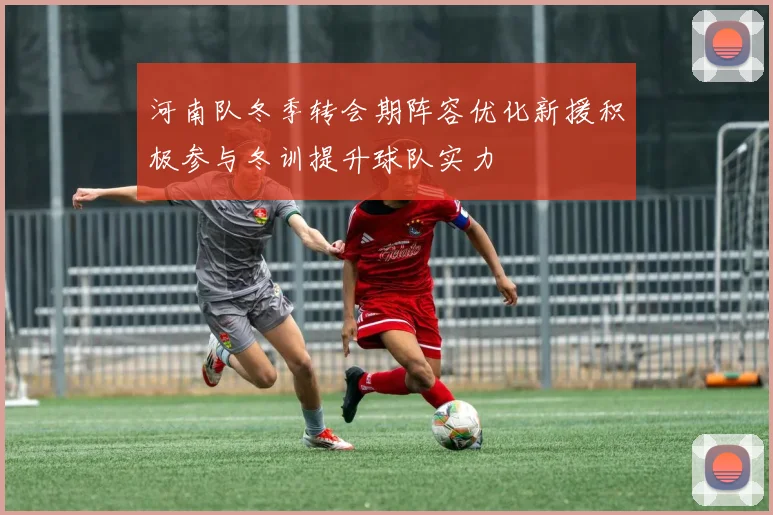 河南队冬季转会期阵容优化新援积极参与冬训提升球队实力