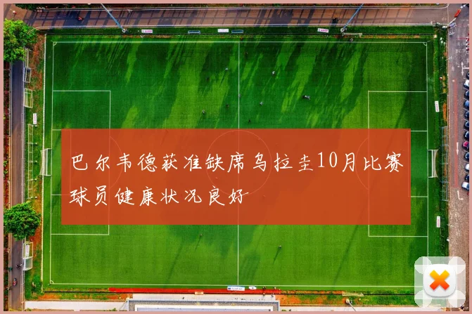 巴尔韦德获准缺席乌拉圭10月比赛球员健康状况良好