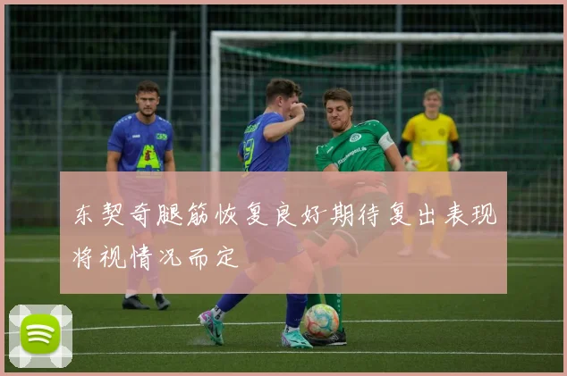 东契奇腿筋恢复良好期待复出表现将视情况而定